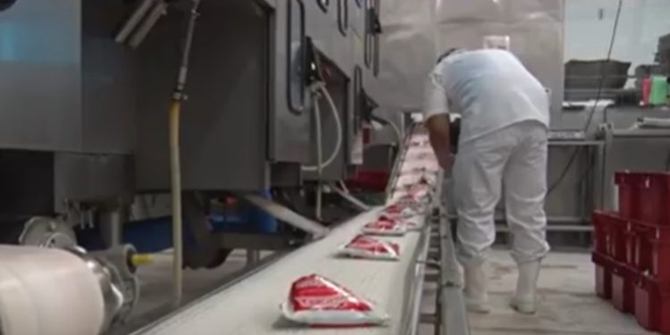 Ni amenazas ni miedo: Coolechera seguirá adelante