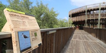 Ecoparque Ciénaga de Mallorquín presenta su primera galería educativa de aves