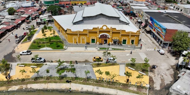 El Mercado de Granos reverdece con intervención paisajística