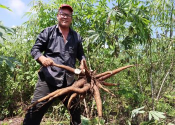 Mercados campesinos vuelven al Atlántico: una oportunidad para aprovechar los frutos de la tierra