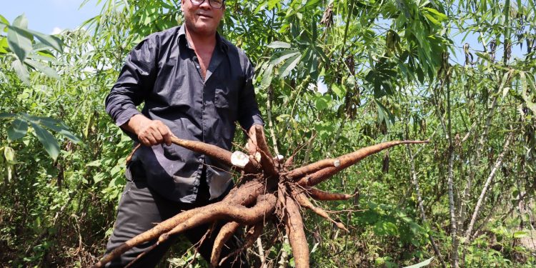 Mercados campesinos vuelven al Atlántico: una oportunidad para aprovechar los frutos de la tierra