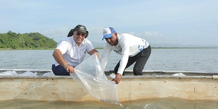 Plan + Pescao 2025 repoblará el Atlántico con 1,5 millones de bocachicos en el embalse del Guájaro