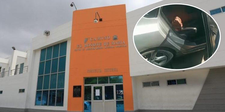 Tragedia en El Bosque: una vida apagada por la disputa de un canario