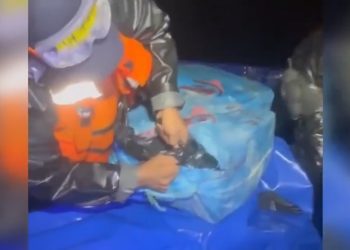 Incautan 2,5 toneladas de cocaína en el mar Caribe valoradas en más de 118 millones de dólares