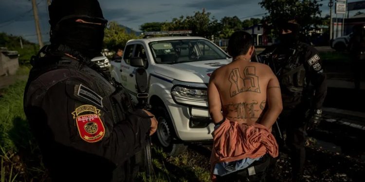 Estos son los cárteles designados como organizaciones terroristas por EE. UU.