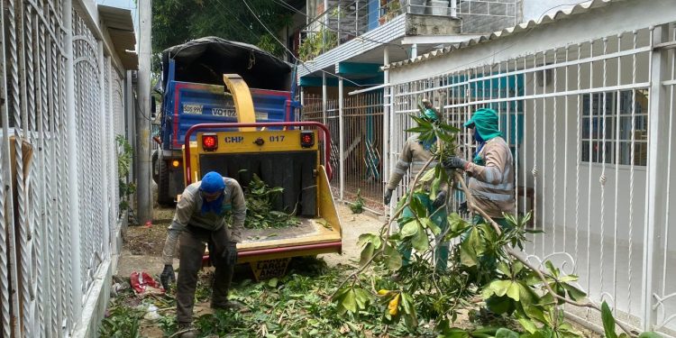 Vendaval golpeó fuerte a Soledad: Nuevo Milenio, Villa Estadio y Nuevo Horizonte, los barrios más afectados