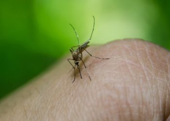 Soledad registra aumento de infecciones respiratorias y alerta por dengue