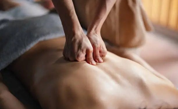 Turista extranjera denuncia abuso sexual durante masaje en Minca