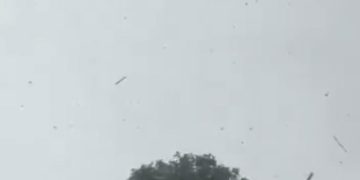 Fuertes vientos y aguacero generan emergencias en Soledad: activan Comité de Gestión del Riesgo