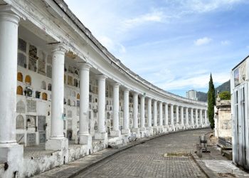 Por alarmante estado del cementerio central en Bogotá, Procuraduría inició acciones preventivas