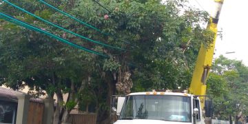 Air-e realizará mantenimiento eléctrico este lunes en Limoncito y Villa Campestre