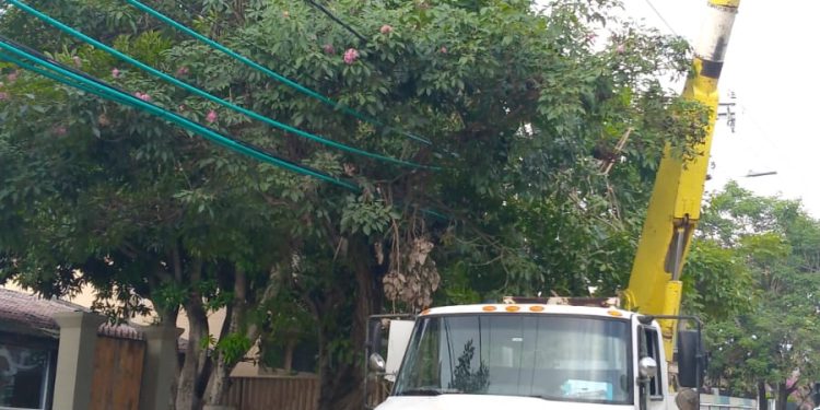 Air-e realizará mantenimiento eléctrico este lunes en Limoncito y Villa Campestre