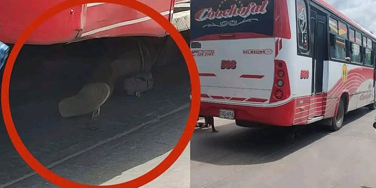Mujer muere arrollada por bus de pasajeros en el barrio Chiquinquirá de Barranquilla