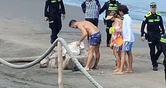 Capturan en Salgar al presunto feminicida de Yolanda Estefany Arias