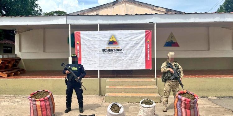 Ejército y Policía incautan media tonelada de marihuana en La Guajira