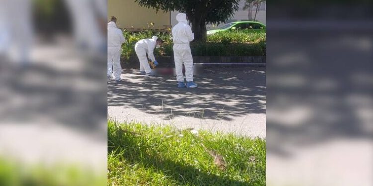 Hombre cayó de un árbol mientras recogía mangos y murió arrollado por un carro en Envigado