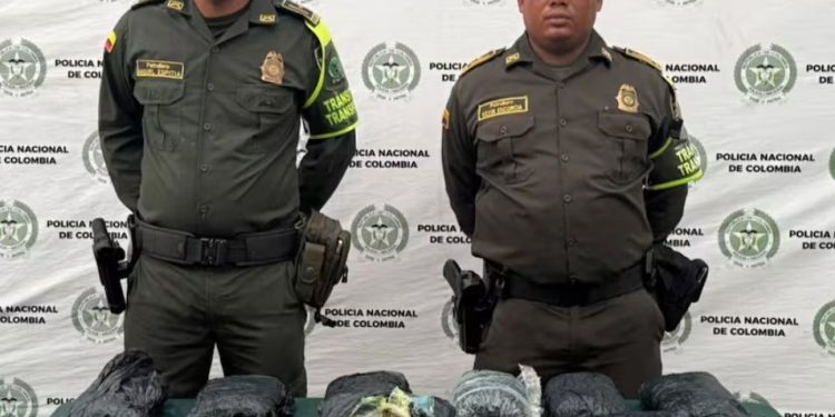 Incautan 12 kilos de marihuana en vía hacia Cartagena