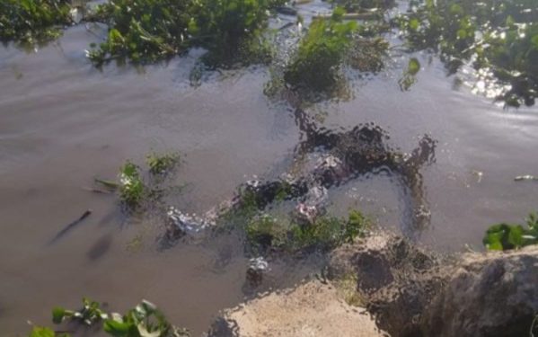 Hallan cadáver de un hombre flotando en el río Magdalena, en el sector de Bocas de Ceniza