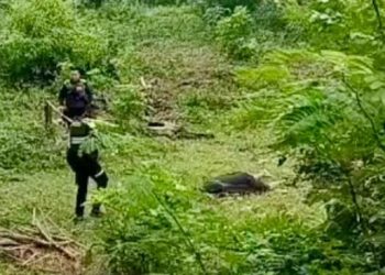 Hallan sin vida a joven secuestrado en zona rural de Riohacha