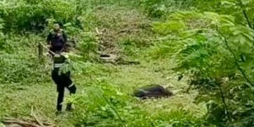 Hallan sin vida a joven secuestrado en zona rural de Riohacha