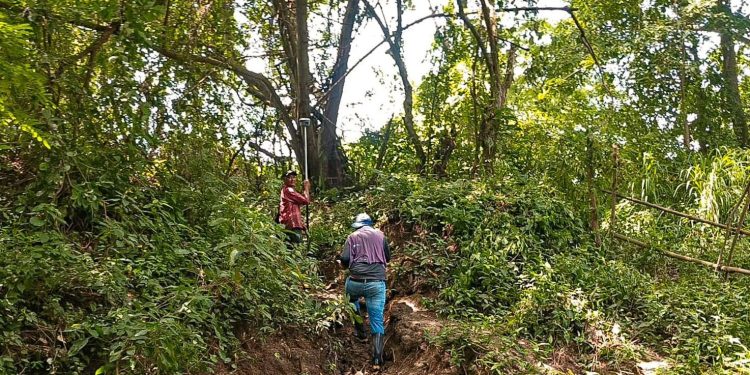 Agencia Nacional de Tierras evalúa predio de 76 hectáreas en Sabanalarga para Reforma Agraria