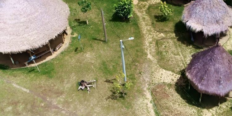 Procuraduría insta a Gobernación de Guainía a cumplir compromiso de conformar la Mesa de Coordinación con los Pueblos Indígenas