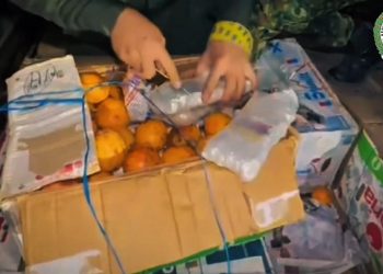 ¡Golpe al narcotráfico! Incautan 4 toneladas de marihuana camufladas entre frutas en Cauca