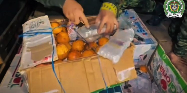 ¡Golpe al narcotráfico! Incautan 4 toneladas de marihuana camufladas entre frutas en Cauca