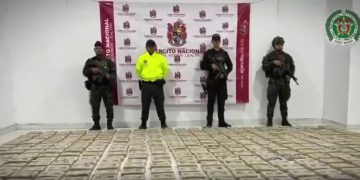 Golpe al narcotráfico en el Cauca: incautan casi media tonelada de marihuana tipo “creepy”