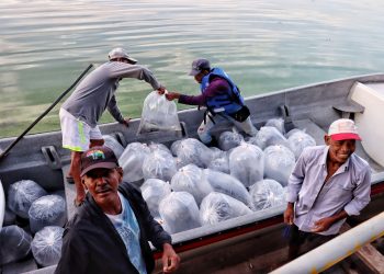 FAO otorga reconocimiento al ‘Plan + Pescao’ por su aporte a los sistemas alimentarios acuáticos sostenibles