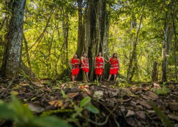 Procuraduría solicita avances en los compromisos asumidos con las mujeres indígenas en el Plan Nacional de Desarrollo