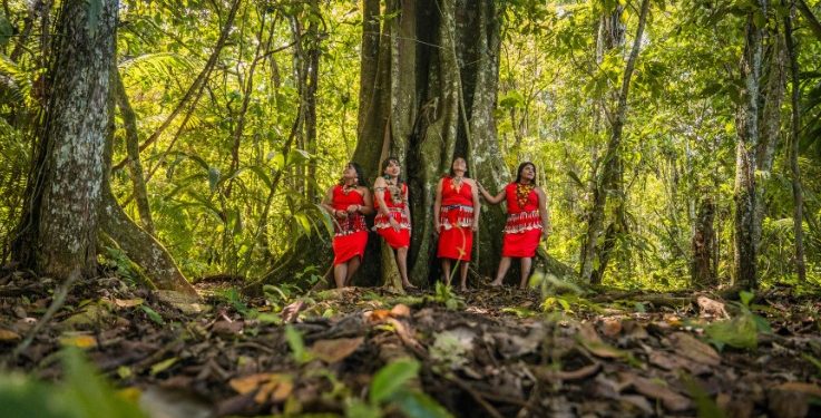 Procuraduría solicita avances en los compromisos asumidos con las mujeres indígenas en el Plan Nacional de Desarrollo