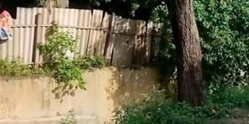 Hallan sin vida a adolescente arrastrado por un arroyo en Soledad