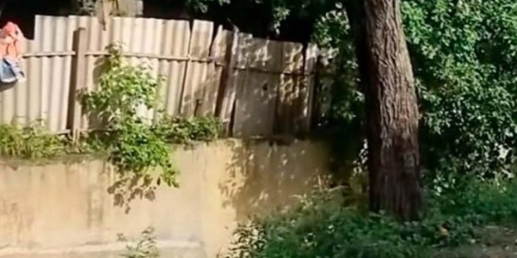 Hallan sin vida a adolescente arrastrado por un arroyo en Soledad