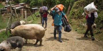 Procuraduría alerta por crisis humanitaria en el norte de Antioquia