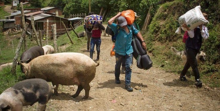 Procuraduría alerta por crisis humanitaria en el norte de Antioquia