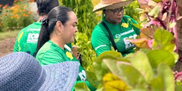 Las huertas en Barranquilla siguen dando frutos para la seguridad alimentaria