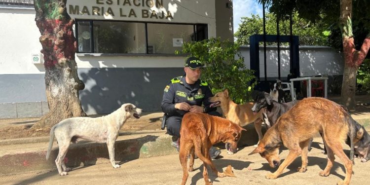 El Teniente Rivera: cuando servir a la patria significa estar lejos de lo que más ama