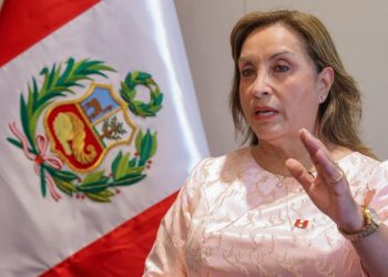 Destitución fue legal, pero “arbitraria e irrazonable”: abogado de Dina Boluarte