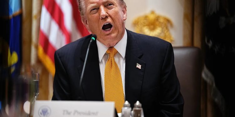 “Estadounidenses recibirán un bono de 2.000 dólares por los aranceles”: Trump