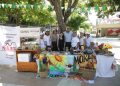 Encuentro “Somos Sostenibilidad”: un homenaje a la diversidad, la cultura y la protección ambiental, liderado por la C.R.A