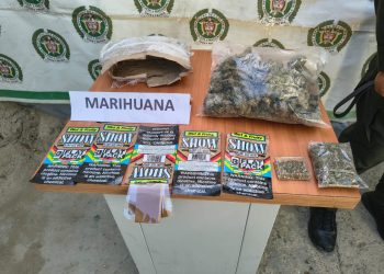 Fox, el perro policía que frustró el envío de 500 dosis de marihuana en Santa Marta