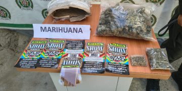 Fox, el perro policía que frustró el envío de 500 dosis de marihuana en Santa Marta
