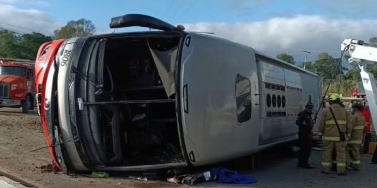 Al menos tres muertos y quince heridos tras volcamiento de bus en la vía Panamericana
