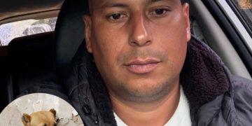 Rechazo nacional por caso de maltrato animal en Antioquia desata búsqueda del agresor