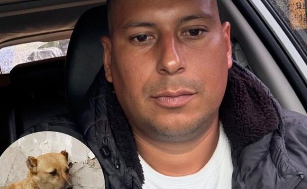 Rechazo nacional por caso de maltrato animal en Antioquia desata búsqueda del agresor