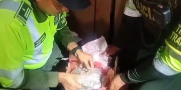 Incautan 24 kilos de marihuana enviados como encomienda hacia Barranquilla