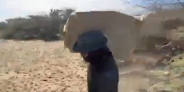 Incautan 3,4 toneladas de cocaína en Uribia, La Guajira