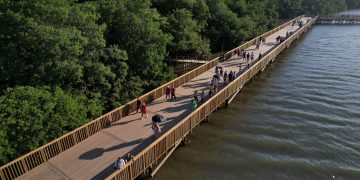 Foro Económico Mundial incluye a Barranquilla entre los modelos globales por su transformación ambiental y avances en infraestructura verde