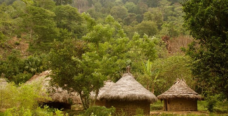 Procuraduría solicita información sobre designación de representante indígena en Consejo Territorial de Salud